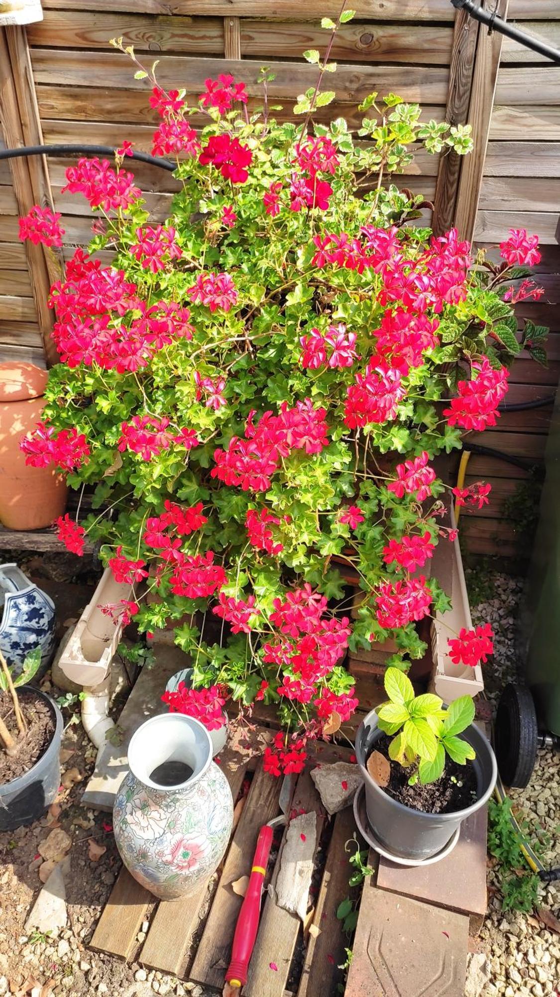 Un Deux Pieces Et Un Jardin A Villejuif Extérieur photo
