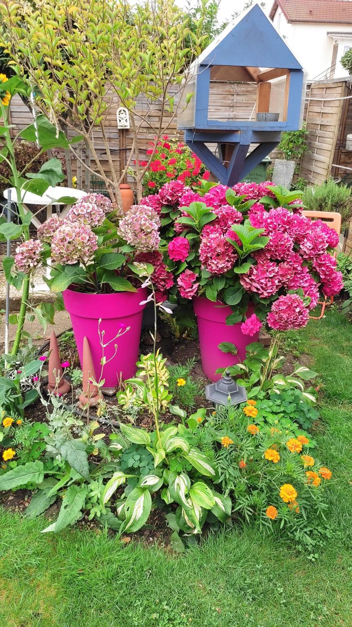 Un Deux Pieces Et Un Jardin A Villejuif Extérieur photo